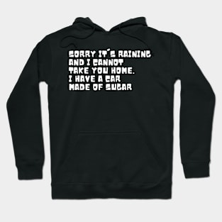 Oddly specific. Sorry I cannot take you home Hoodie